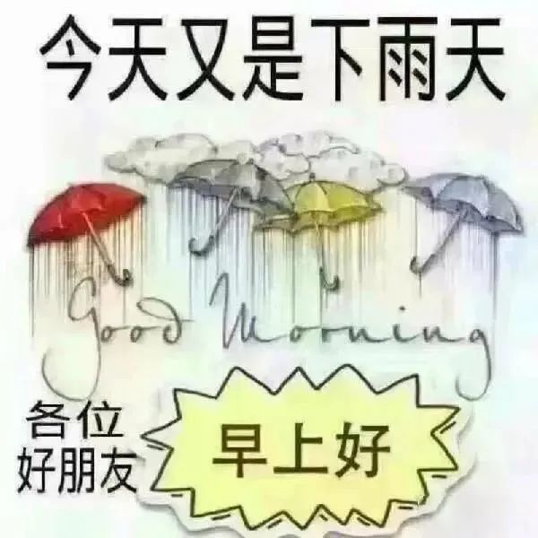 微信下雨表情包，时代情感传递的新符号
