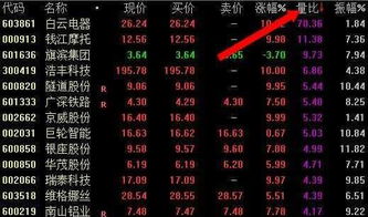 股票加群，小巷深处的投资探索之旅