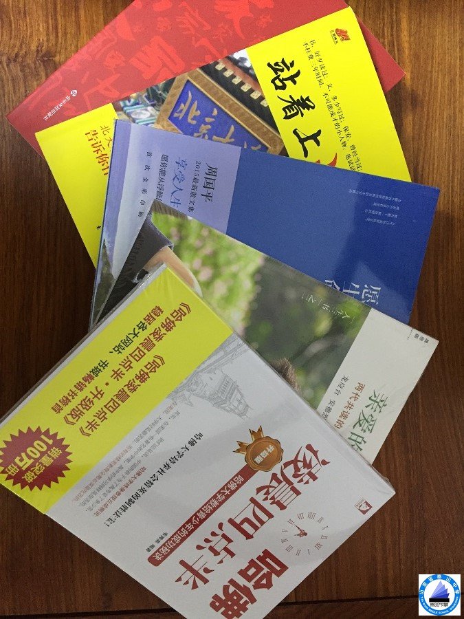 温柔关怀新篇，人文力量助力构建和谐社会