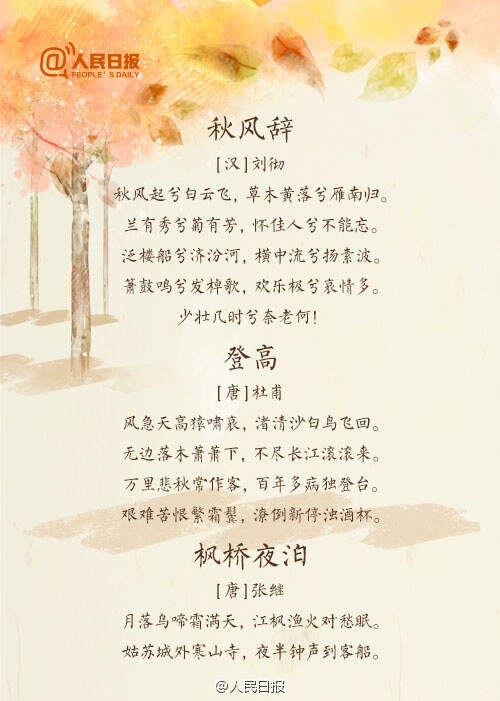 最新秋的诗词，领略秋日之美的韵味