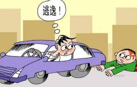 最新肇事逃逸处罚标准解析及处罚力度探讨