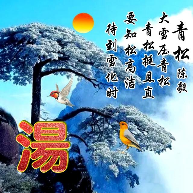 松知电视，引领智能生活新潮流的先锋