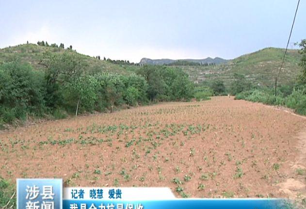 涉县最新资讯分享，获取与传递新鲜信息的途径