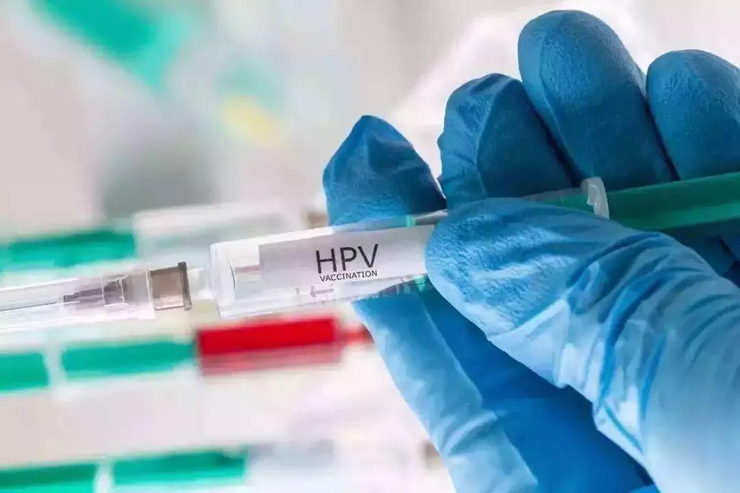 HPV疫苗上市公司，行业领军者的探索之旅