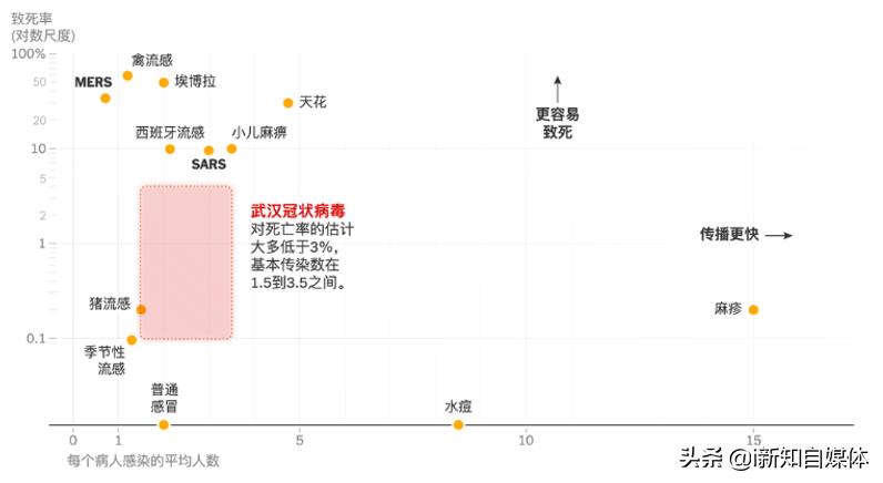 流感热点与科技革新，护航健康之路探索