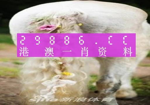 2023年澳门一肖一码,高度协调实施_触感版8.153