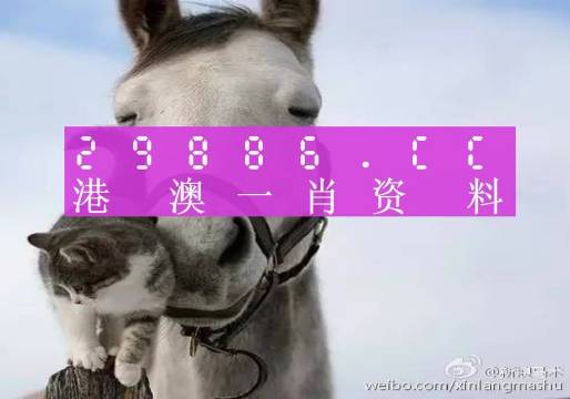 2025年澳门一肖一码,电工_L版5.308