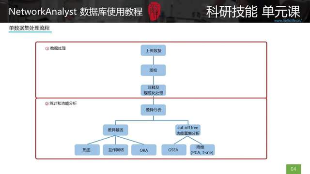 2025澳门今晚开奖记录,具象化表达解说_晴朗版71.938