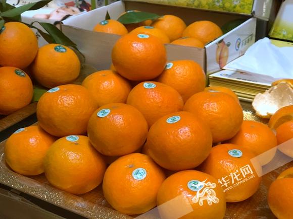 今日开县新闻快报制作指南及快速浏览概览