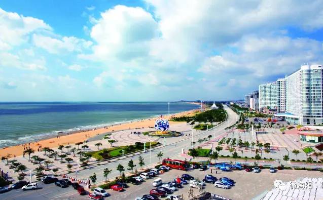 海阳新鲜事报道，最新动态与资讯速递🌊