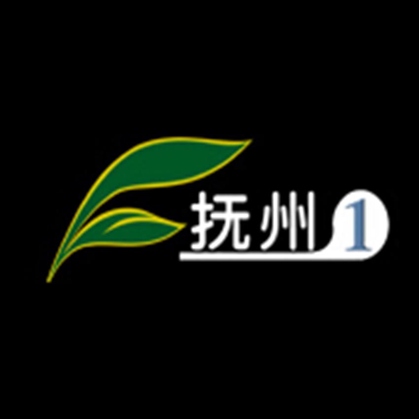 抚州电视台，地方媒体的角色与影响力探究
