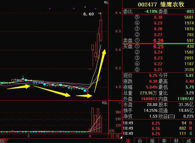 🚀 002477雏鹰股票最新动态 🚀