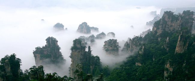 张家界最新动态，旅游发展与环境保护的和谐共进之道