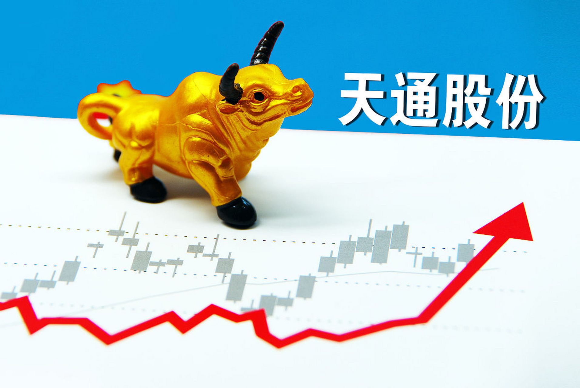 天宝股份最新动态，变化中的学习之旅，自信与成就感的培育之源