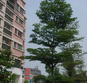 榴榴草社区新址，变化中的学习乐园，自信与成就感的起源地