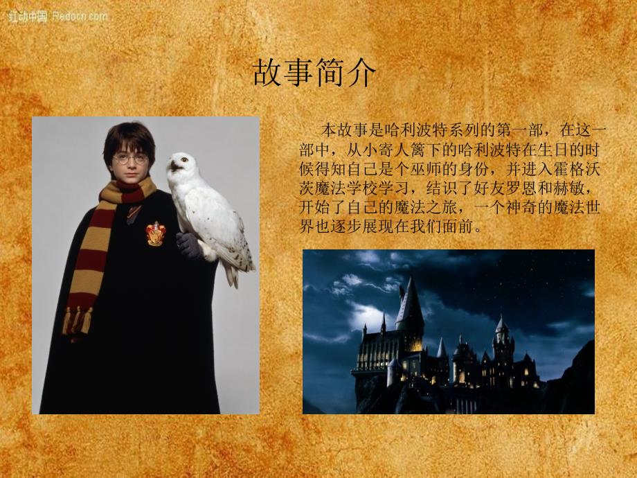 哈利波特电影的深度观后感，魔法世界的启示与成长之路
