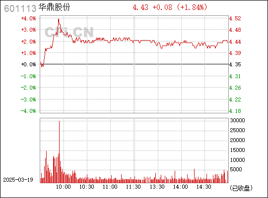 揭秘601113股票，投资潜力与策略解析