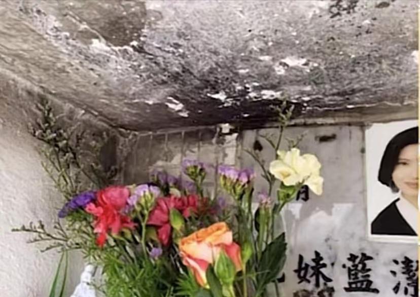 新冠最新疫情下的温馨日常观察与记录