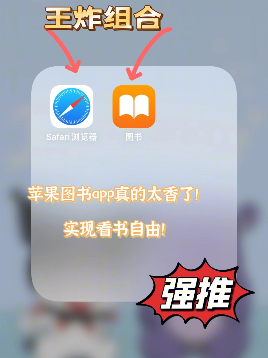 科技与生活的完美融合，最新苹果图书概览