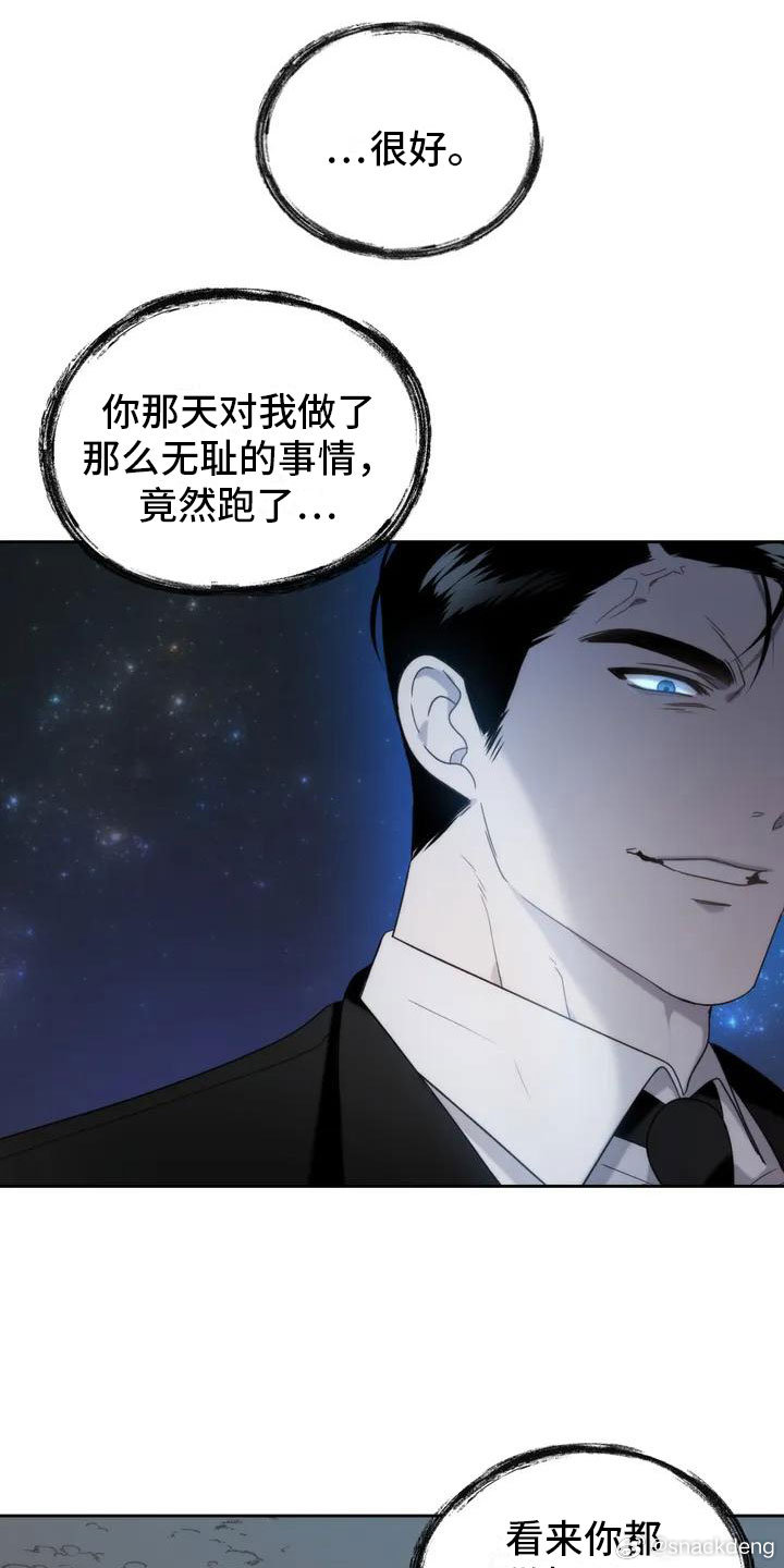 危险运势漫画最新更新，日常趣闻与深厚友情的探索